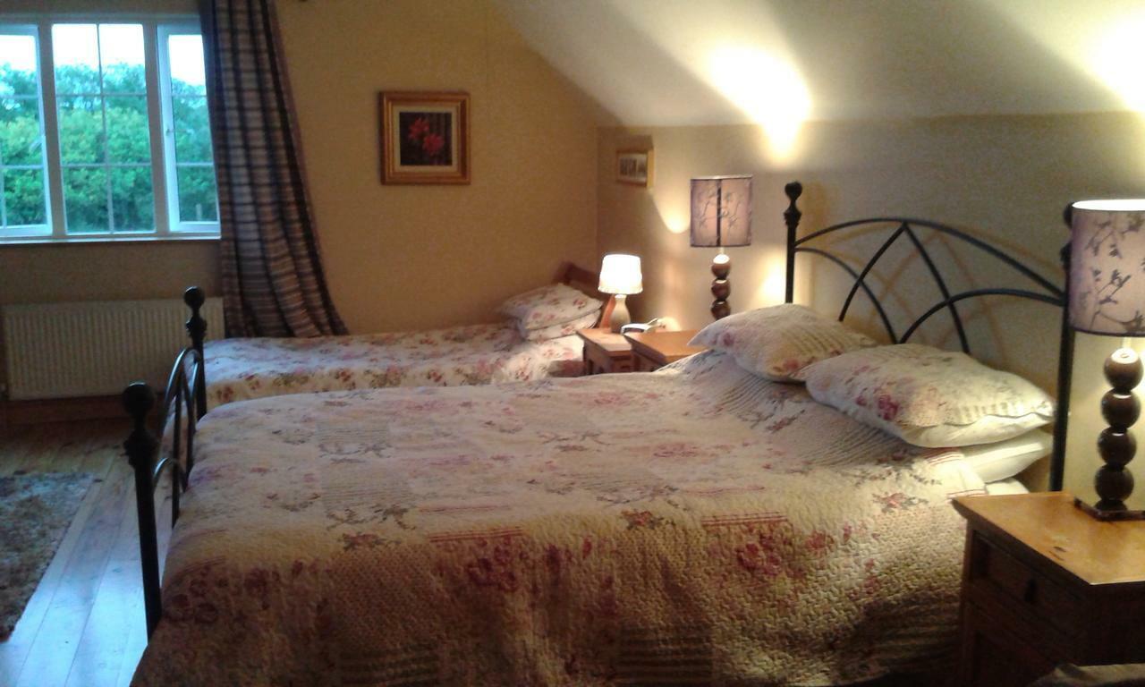 Bed and Breakfast White Swan Sherlockstown Экстерьер фото